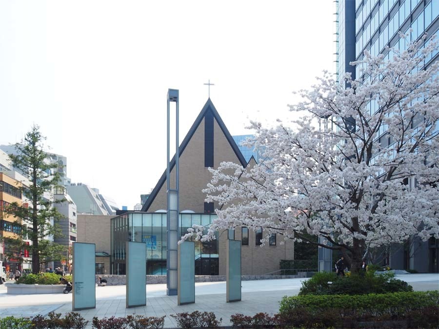 富士見町教会と満開の桜